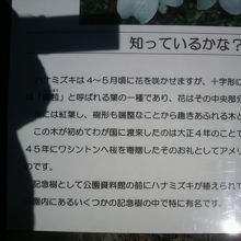 ハナミズキの説明と米国からの寄贈樹との解説が記されています。