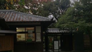 紅葉もはじまりました