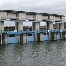高滝湖は釣りと桜の名所になっています
