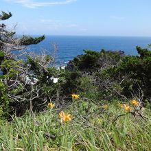 様々な海の表情が楽しめます