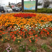 公園内には花壇があります