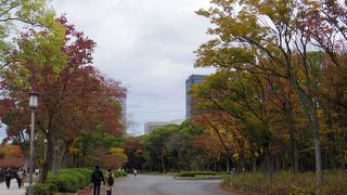 広い、散策公園
