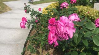 ゆったりした時間