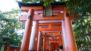 神秘的な別世界が味わえます