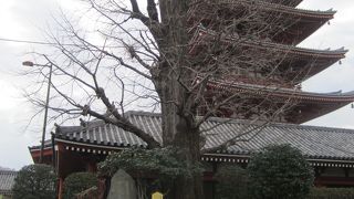浅草寺の境内に建ってる五重塔
