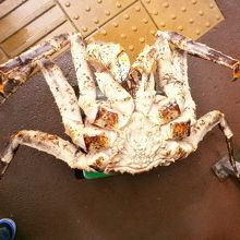 特大のタラバガニ