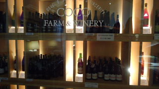 足利のワイン畑