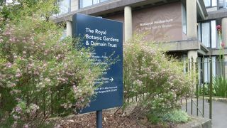 都会のオアシス