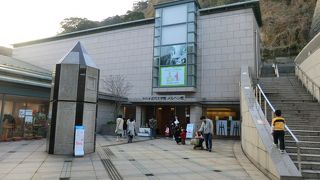 鹿児島に、ゆかりのある作家を紹介