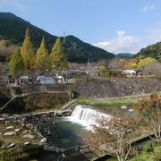 花見と清流がお奨め