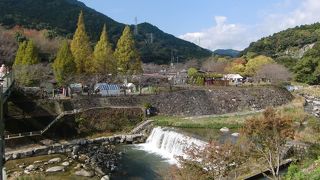 花見と清流がお奨め