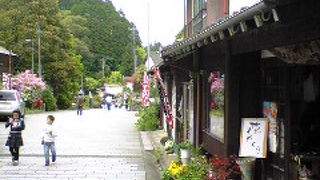 小石原 秋の民陶むら祭