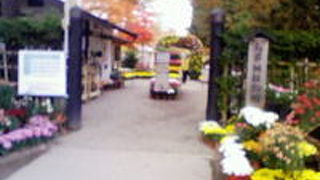 四季折々の花が咲き乱れる、穴場スポット