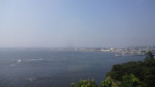 江の島丼が食べられる。