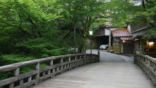 緑豊かな遊歩道。