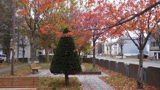 北27条のミニ公園通り