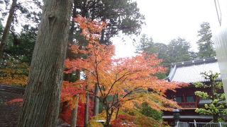 紅葉の季節がいいですね