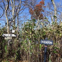 宮原　やっと祖母山の尾根に出る。