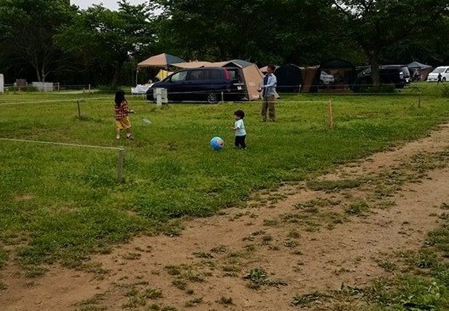 動物と触れ合えるキャンプ場