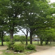 半分は広い芝生庭園