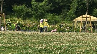 子供と一緒に！