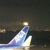 部屋からＴＤＲの花火が見えました。