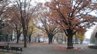 もう紅葉は終わりかけてました