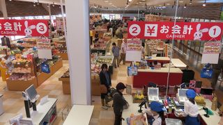 まさにこんにゃくだらけ