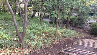 里山の中の公園？