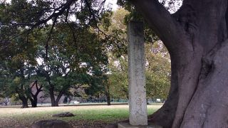 金堂は、全国最大級だったとか。