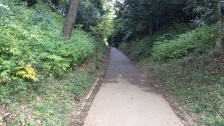 言われてみると街道に見えないこともない！