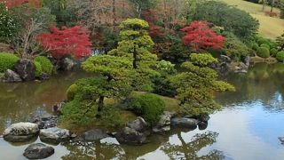 日本庭園の神髄が伝わる。特別公開の「汎庵」および「万里庵」もオススメ。
