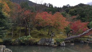 2015/11/17　京都　嵐山