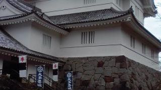 小振りですが険しい場所に