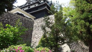 戦い抜く意欲満々の現存天守　国宝指定万歳！！