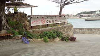 もずくのおいしさ再発見