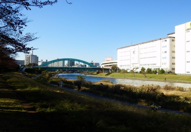 旧中川水辺公園 クチコミ アクセス 営業時間 亀戸 フォートラベル