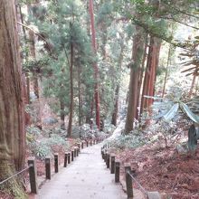 奥の院の参道　階段（下り）