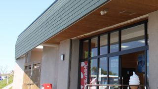 シマリスに癒される