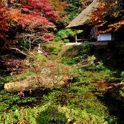 紅葉の吉水園は必見の価値あり！