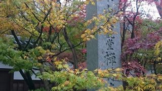 赤・オレンジ・黄・緑の葉っぱのコントラスト！