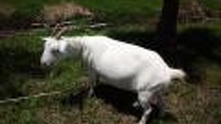 マリンステイション奄美