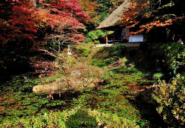 紅葉の吉水園は必見の価値あり！