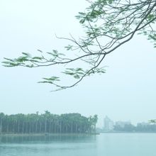 しんとした空気。