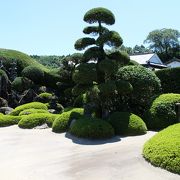 鶴亀の庭園