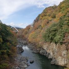 高津戸橋からはねたき橋を見る