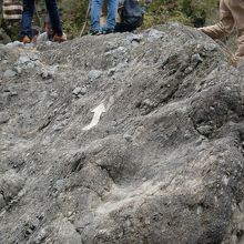 ポットボールは矢印が書かれた岩の向こうにある