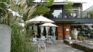 ポム・ダムール