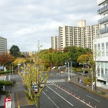 南千里駅周辺。コンビニは見当たらないが、ガーデンモールが便利