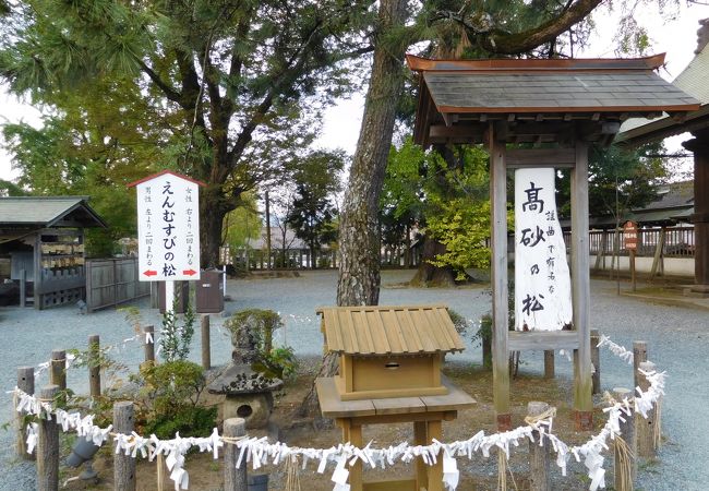 阿蘇神社 高砂の松 クチコミ アクセス 営業時間 阿蘇 フォートラベル 阿蘇神社 高砂の松 クチコミ アクセス 営業時間 阿蘇 フォートラベル